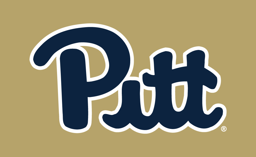 Pittsburgh Panthers 2016-2018 Alternate Logo v3 DIY iron on transfer (heat transfer)